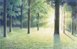 めざめ - 【イベント】可能性アートプロジェクト 2022