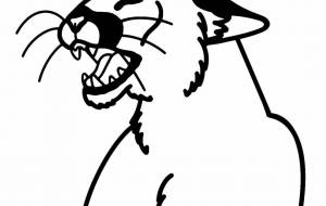 ピューマ - 【イベント】可能性アートプロジェクト 2022