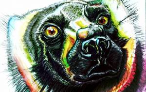 猿 - 【イベント】可能性アートプロジェクト 2022