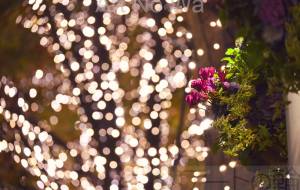 ヒカリヨ - とん