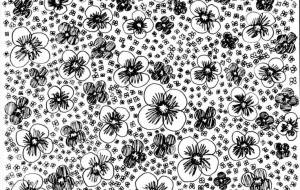 お花がいっぱい - ♢k_edge♢