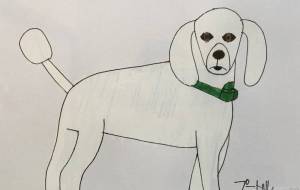 プードル - 【イベント】可能性アートプロジェクト 2022