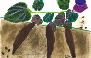 さつま芋 - 【イベント】可能性アートプロジェクト 2022