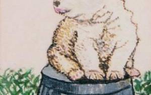 お腹すいた - 萩原克典