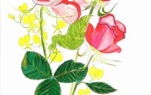 古川庭園のバラ - 【イベント】可能性アートプロジェクト 2022