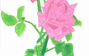 バラ - 【イベント】可能性アートプロジェクト 2022