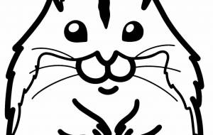 ジャンガリアンハムスター - シマハイエナ