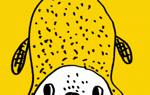 柑橘犬 - 空叶論