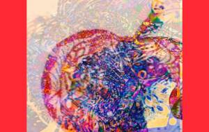 りんご - しょも