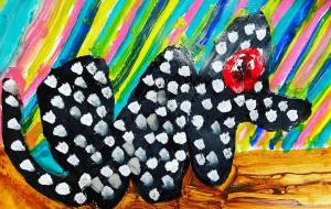 アカナタヤ - 笹谷正博