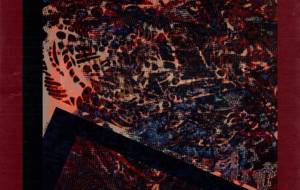 与えられた視覚 - しょも