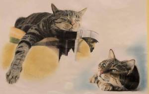 おひるね 〜出典:岩合光昭『岩合さんちのネコ兄弟 玉三郎と智太郎』 - UkoNyan