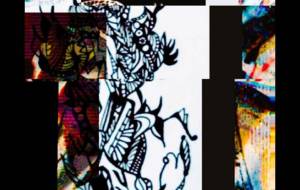 しょもトカゲ - しょも