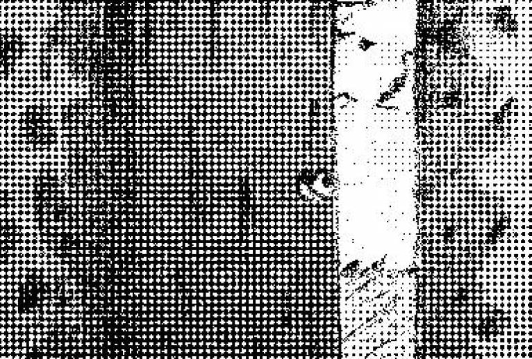 hevens doar - YUSUKE TAGAMI 