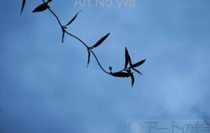 行き場を無くしたツル - 田中ハル