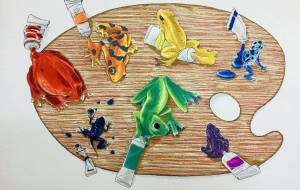 カエルパレット - アサヰ