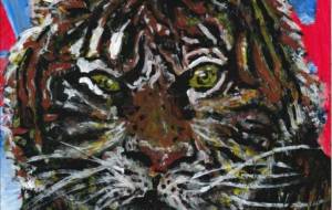 野生の虎の顔 - 阿部貴志 