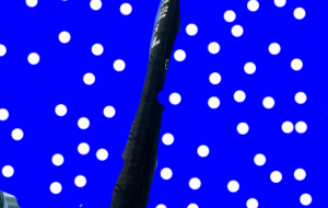 冬の風景 - 笹谷正博