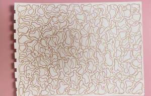 情熱と希望 - 姫華