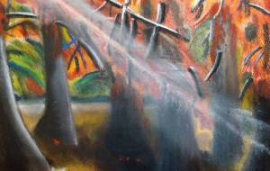 紅葉と猫 - 橋本暁史