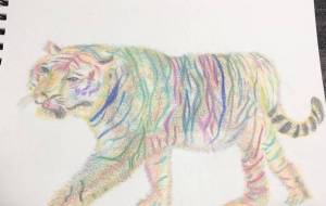 2022年寅年 - てくてく歩く