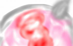 いちごババロア - 橘 木竜