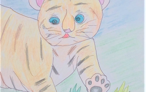 寅くんの第一歩 - ミューズめぐみ