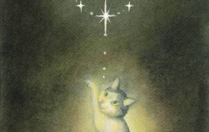 生命の輝き - Cano