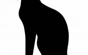 黒サーバルキャット - シマハイエナ