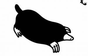 ヨーロッパモグラ - シマハイエナ