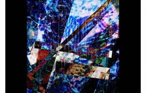 探求星 - しょも