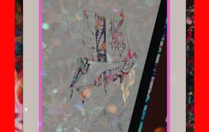 しょも織りコロモ - しょも