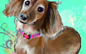 ダックスの「あくびちゃん」 - 吉村 翔