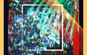 しょも島 - しょも