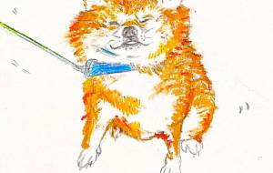 お家に帰りたくない - おおた まめ