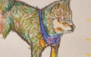 ご主人様以外懐かない犬 - おおた まめ