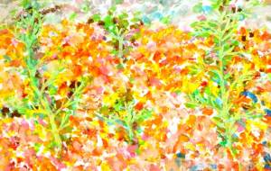 いきるちから - おおた まめ