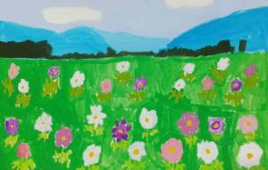 コスモス畑 - わかな