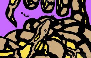 アミメニシキヘビ - シマハイエナ