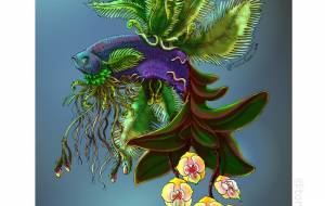 シダの魚 - とりちゃん。