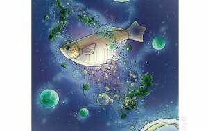 メダカ宇宙 - とりちゃん。