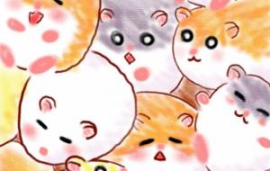 ハムづめ - ♢k_edge♢