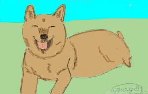 犬の笑顔 - コオロギ21