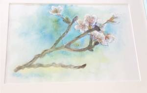 春よこい - 縄井亜祐美