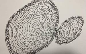 不思議ちゃん - 笹谷正博