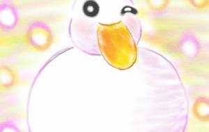 コールダック - ♢k_edge♢