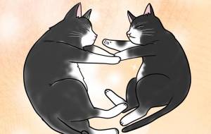 ハートの猫 - 【イベント】生命保険会社様の社内ポスター3モチーフコンペ