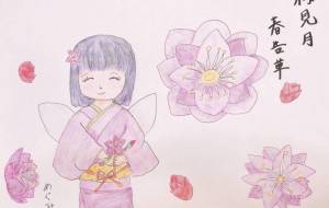 梅見月、春告草 - ミューズめぐみ