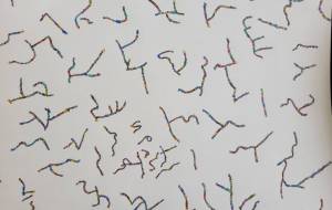 光 - 【イベント】生命保険会社様の社内ポスター3モチーフコンペ