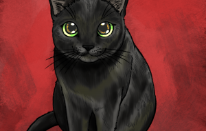 黒猫 - yukari 